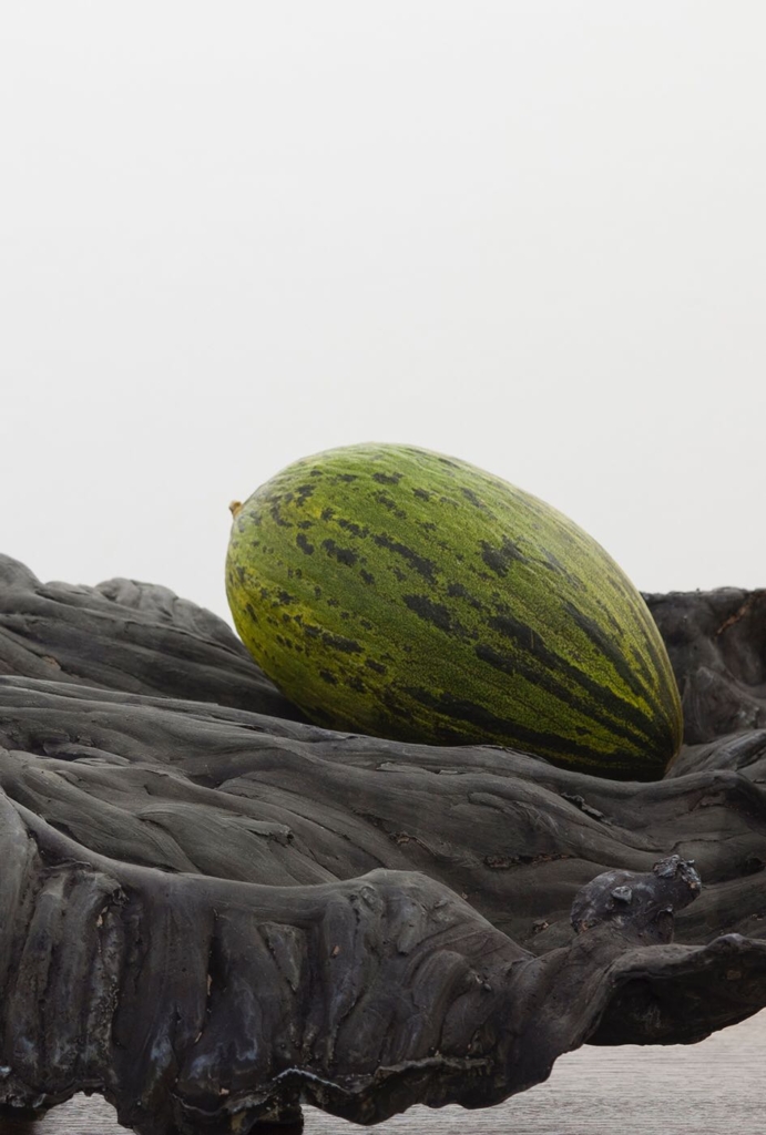Angelika Loderer at Miart Milan Sophie Tappeiner
