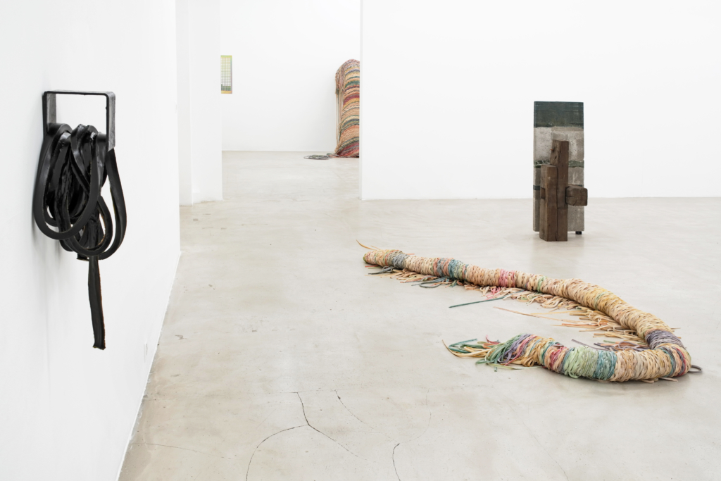 Cäcilia Brown, Christoph Meier, Liesl Raff, curated by Peter Pakesch, exhibition view, Nikolas Krupp, Basel, 2019